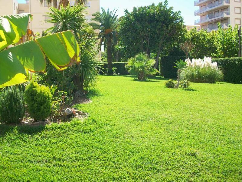 Con Vistas Al Mediterraneo Playa de Gandia المظهر الخارجي الصورة